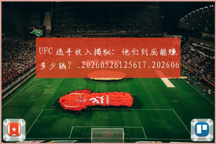 UFC 选手收入揭秘：他们到底能赚多少钱？_20260526125617_20260607160442